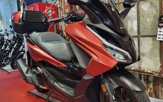 Gebrauchtmotorrad Honda Forza 125 - Bild 2