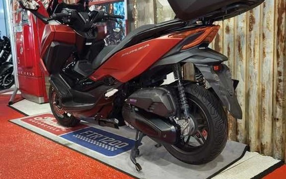 Gebrauchtmotorrad Honda Forza 125 - Bild 6