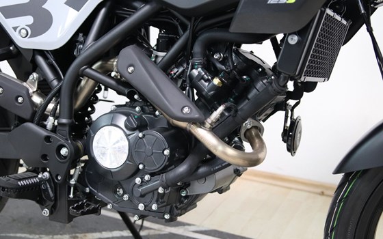 Neufahrzeug Benelli BKX 125 S - Bild 5