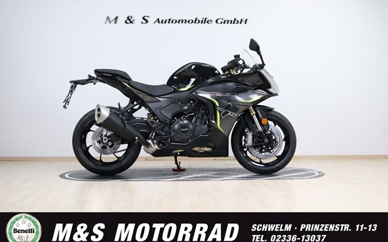 Neufahrzeug Benelli Tornado 550 - Bild 1