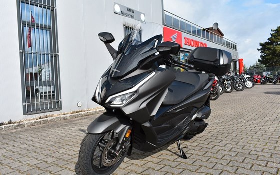 Gebrauchtmotorrad Honda Forza 125 - Bild 2