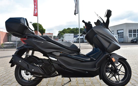 Gebrauchtmotorrad Honda Forza 125 - Bild 3