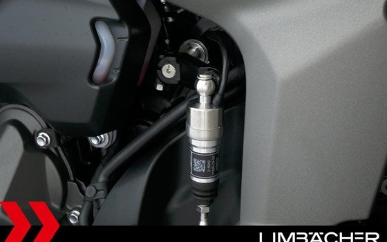 Gebrauchtmotorrad Triumph Daytona 660 - Bild 14