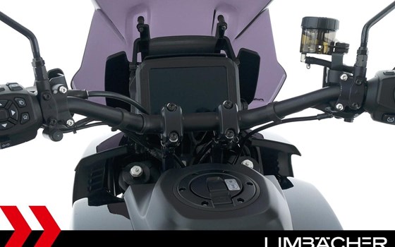 Gebrauchtmotorrad Harley-Davidson Pan America 1250 ST - Bild 23