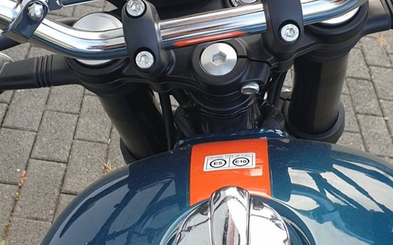 Neufahrzeug Royal Enfield Bear 650 - Bild 4