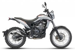 Neumotorrad Beta Alp 4.0