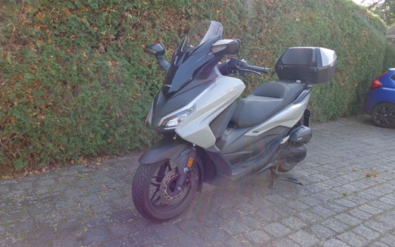 Gebrauchtmotorrad Honda Forza 125 - Bild 1