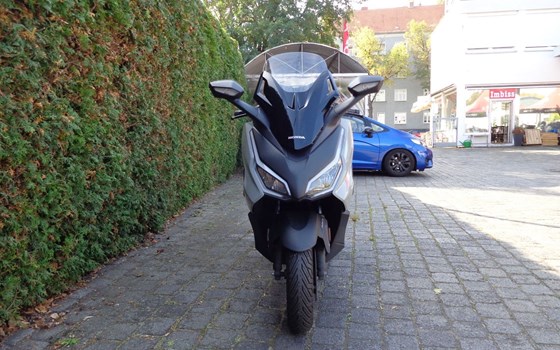Gebrauchtmotorrad Honda Forza 125 - Bild 2