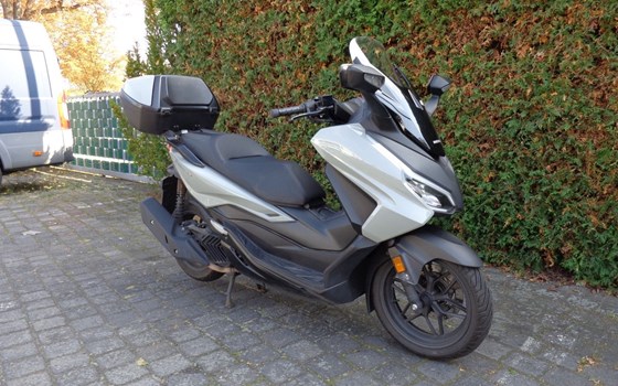 Gebrauchtmotorrad Honda Forza 125 - Bild 3