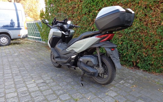 Gebrauchtmotorrad Honda Forza 125 - Bild 4