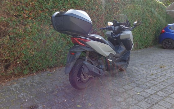 Gebrauchtmotorrad Honda Forza 125 - Bild 6