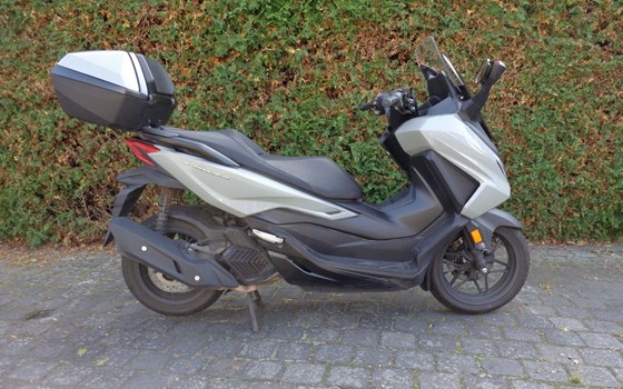 Gebrauchtmotorrad Honda Forza 125 - Bild 8