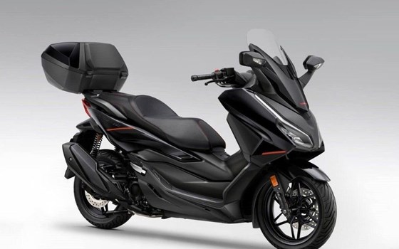 Gebrauchtmotorrad Honda Forza 350 Special Edition - Bild 3