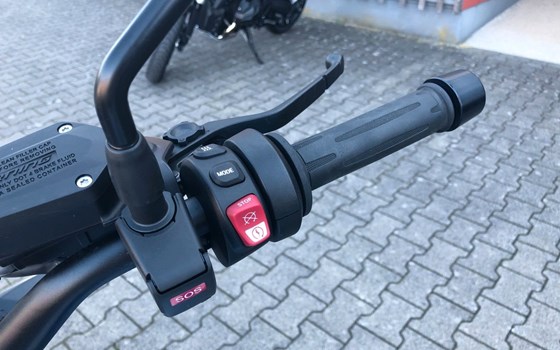Gebrauchtmotorrad BMW R 1250 R - Bild 16