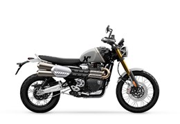 Gebrauchte Triumph Scrambler 1200 XE