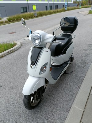 Sym Fiddle III 125 (weiß) - Bild 6