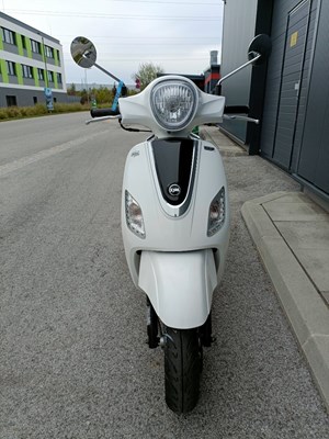Sym Fiddle III 125 (weiß) - Bild 8