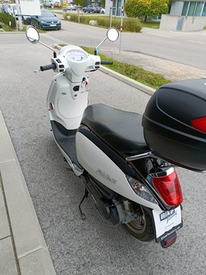 Sym Fiddle III 125 (weiß) - Bild 10