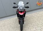 Angebot Triumph Tiger 900 GT Pro