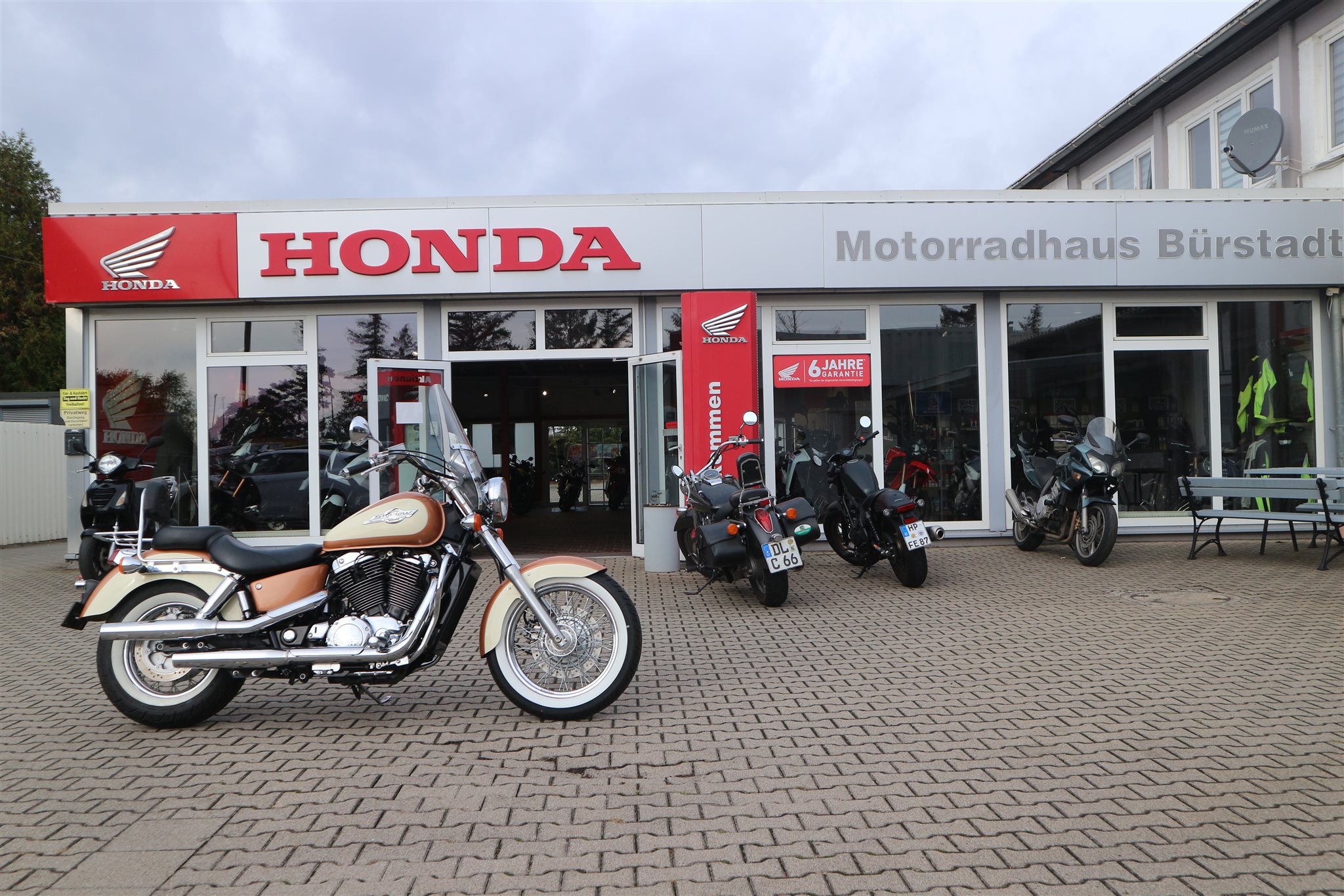 Honda VT 1100 C2 Ace Shadow