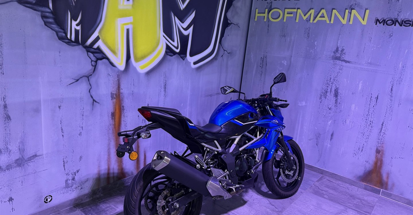 Angebot Kawasaki Z125