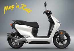 Neumotorrad Zero LS1