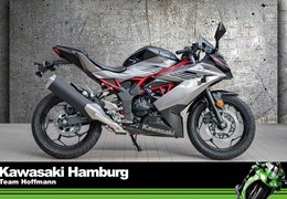 Neumotorrad Kawasaki Ninja 125