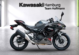 Neumotorrad Kawasaki Ninja 500 SE