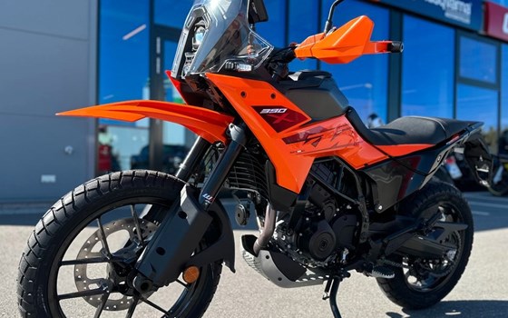 Neufahrzeug KTM 390 Adventure X - Bild 1