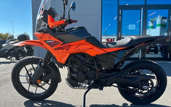 Neufahrzeug KTM 390 Adventure X - Bild 9