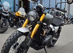 Angebot Triumph Scrambler 900