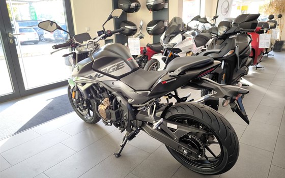 Neufahrzeug Voge R625 - Bild 8