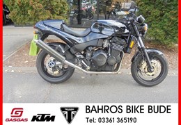 Gebrauchte Triumph Speed Triple 900 T 509