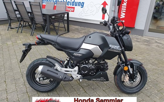 Gebrauchtmotorrad Honda MSX 125 - Bild 1