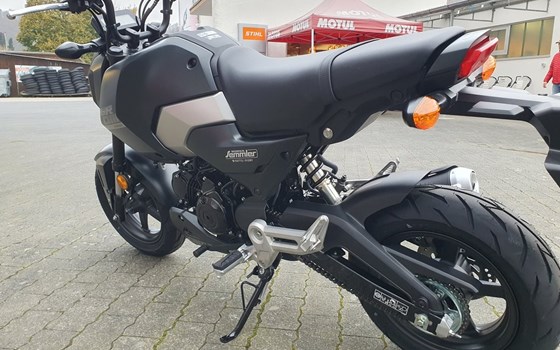 Gebrauchtmotorrad Honda MSX 125 - Bild 10
