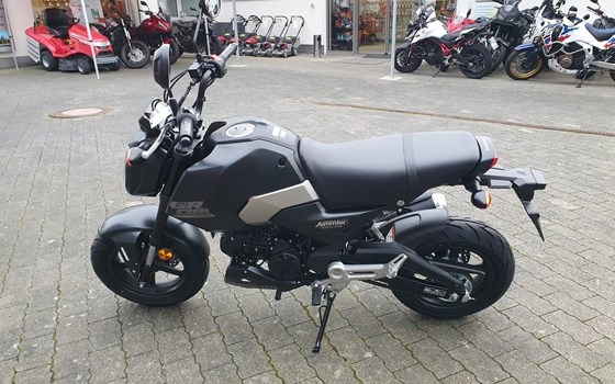 Gebrauchtmotorrad Honda MSX 125 - Bild 12