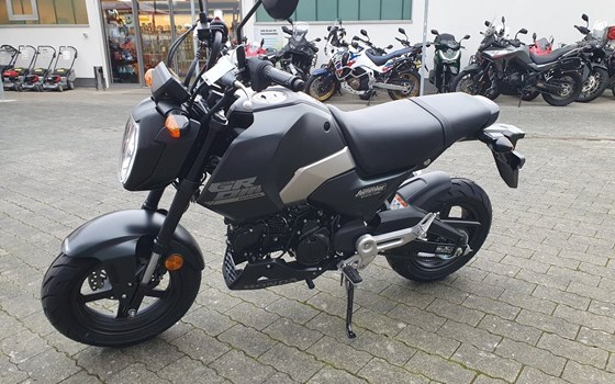 Gebrauchtmotorrad Honda MSX 125 - Bild 13