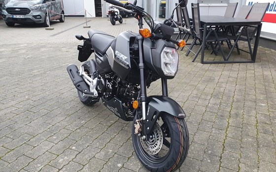 Gebrauchtmotorrad Honda MSX 125 - Bild 3