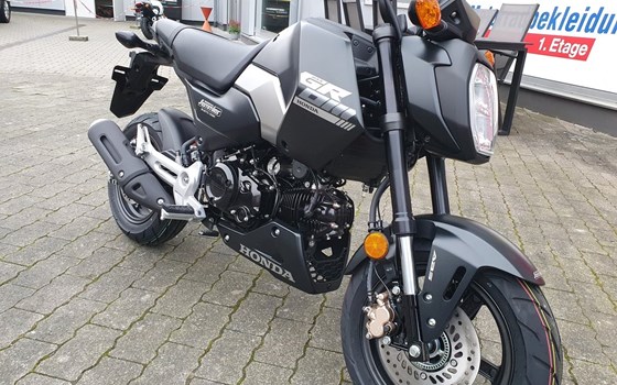 Gebrauchtmotorrad Honda MSX 125 - Bild 4