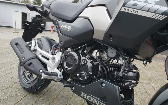 Gebrauchtmotorrad Honda MSX 125 - Bild 5