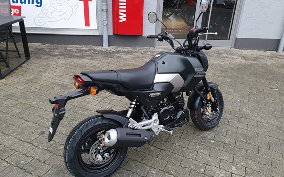 Gebrauchtmotorrad Honda MSX 125 - Bild 6