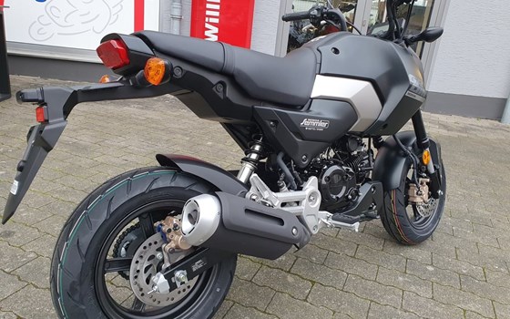 Gebrauchtmotorrad Honda MSX 125 - Bild 7