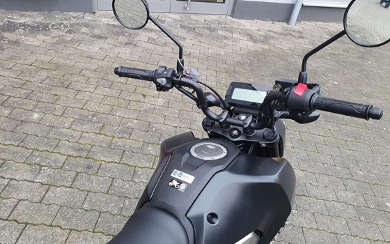 Gebrauchtmotorrad Honda MSX 125 - Bild 8