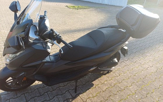 Gebrauchtmotorrad Honda Forza 125 - Bild 2