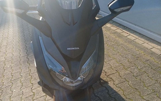 Gebrauchtmotorrad Honda Forza 125 - Bild 3