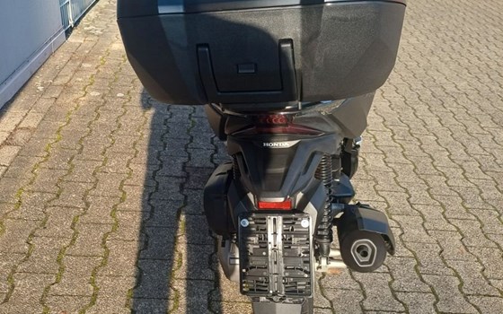 Gebrauchtmotorrad Honda Forza 125 - Bild 4