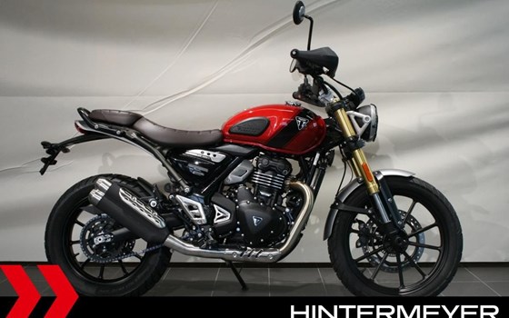 Gebrauchtmotorrad Triumph Scrambler 400 X - Bild 2