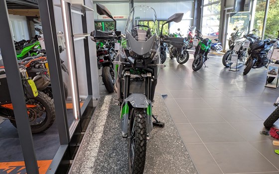 Neufahrzeug Kawasaki KLE500 SE - Bild 6