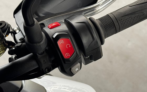 Neufahrzeug Triumph Tiger 900 Alpine Edition - Bild 14