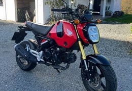 Gebrauchte Honda MSX125 Grom